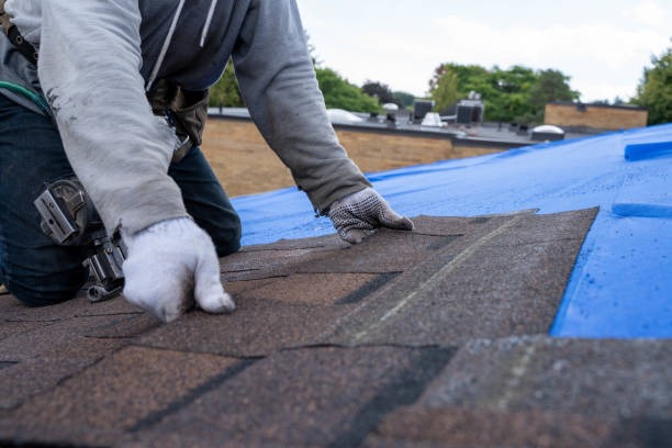 Best Roofing Contractor Near Me  in Parker City, IN