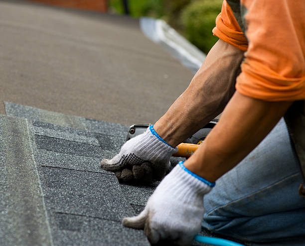 Roof Gutter Cleaning in Parker City, IN